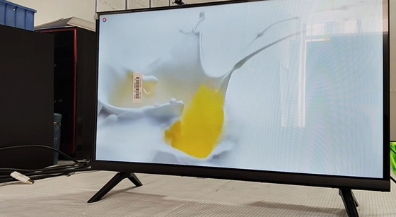 24 pouces T2S2 TV LCD numérique de petite taille Non-OS avec multimédia